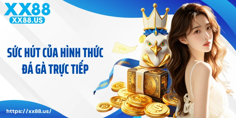 Sức hút của hình thức đá gà trực tiếp